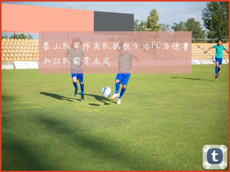 泰山队军师离队执教今治FC马德鲁加归队前景未定